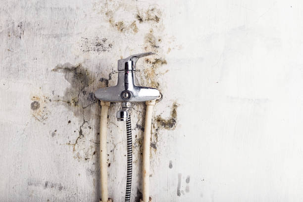 Best HVAC Mold Remediation in Chapel Hill, NC