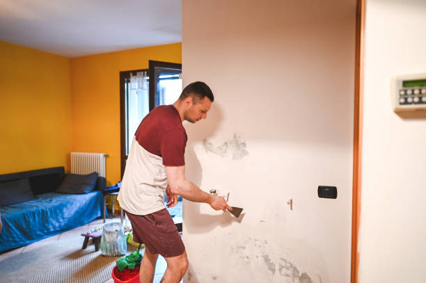 Best Industrial Mold Remediation in Chapel Hill, NC